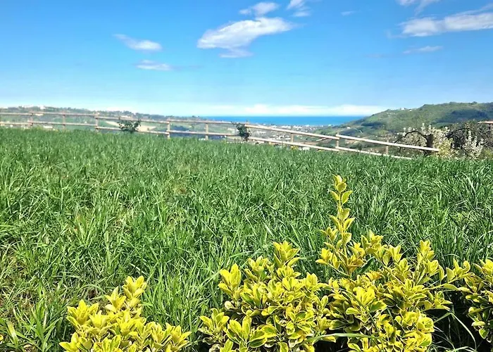 Li Da Ste * Ripatransone